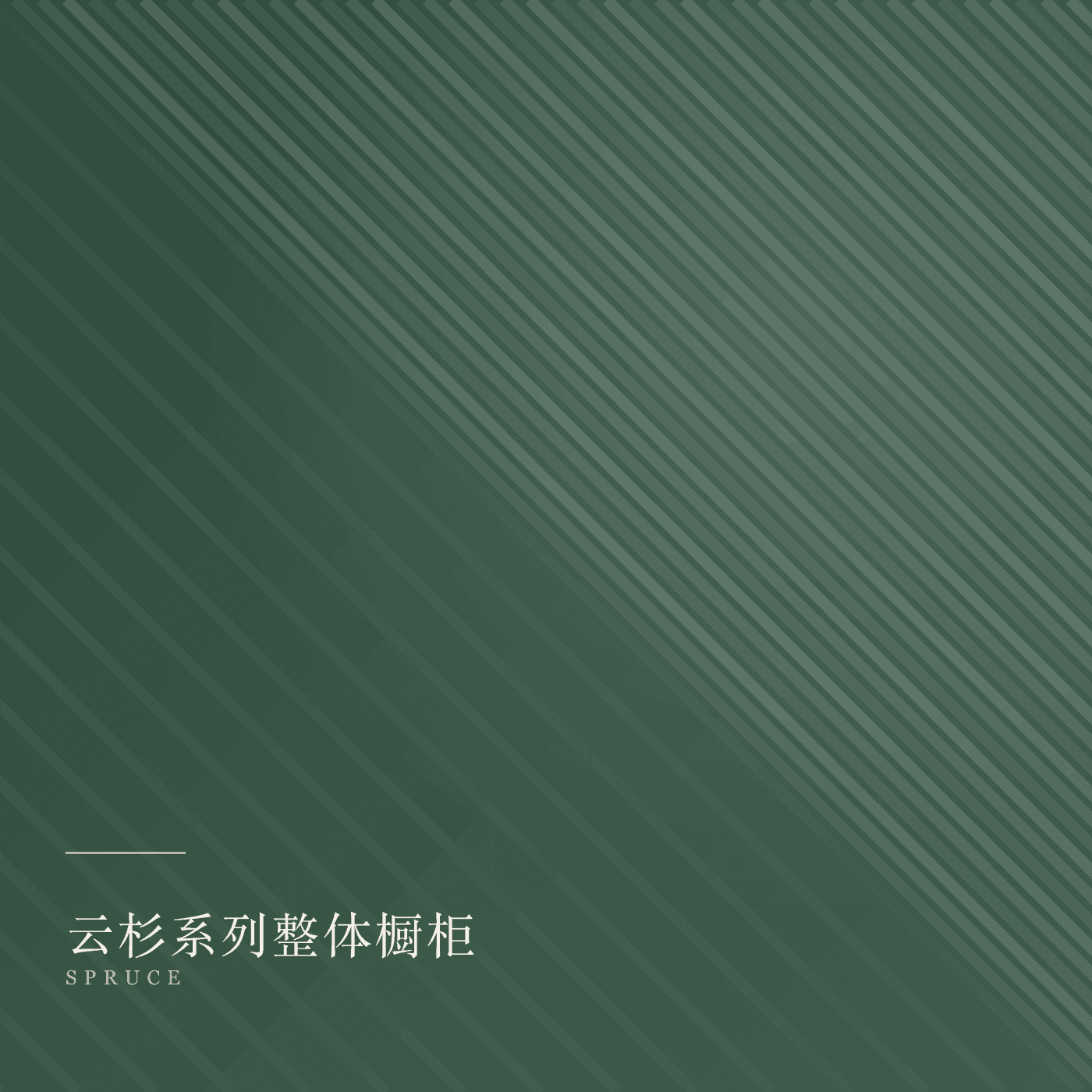 cabinets 产品主图
